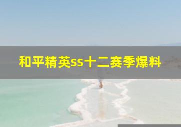 和平精英ss十二赛季爆料