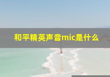 和平精英声音mic是什么