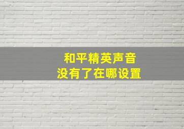 和平精英声音没有了在哪设置