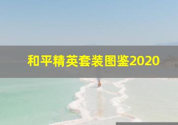 和平精英套装图鉴2020