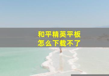 和平精英平板怎么下载不了