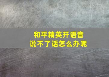 和平精英开语音说不了话怎么办呢