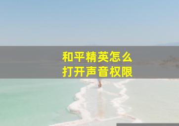 和平精英怎么打开声音权限