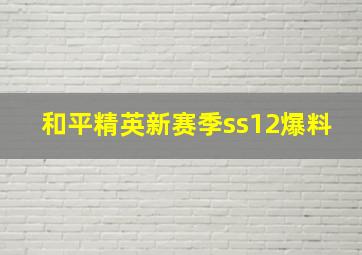 和平精英新赛季ss12爆料