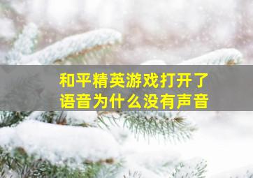 和平精英游戏打开了语音为什么没有声音