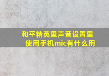 和平精英里声音设置里使用手机mic有什么用