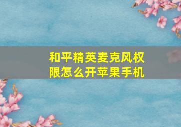 和平精英麦克风权限怎么开苹果手机