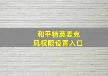 和平精英麦克风权限设置入口