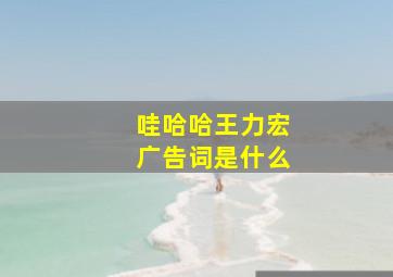 哇哈哈王力宏广告词是什么