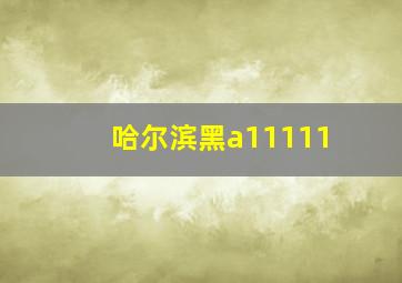 哈尔滨黑a11111