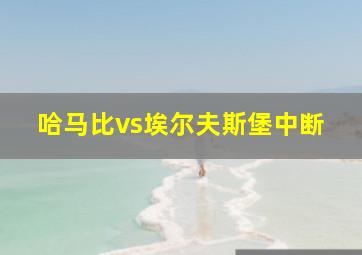 哈马比vs埃尔夫斯堡中断