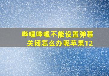 哔哩哔哩不能设置弹幕关闭怎么办呢苹果12