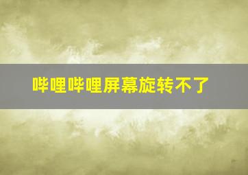 哔哩哔哩屏幕旋转不了