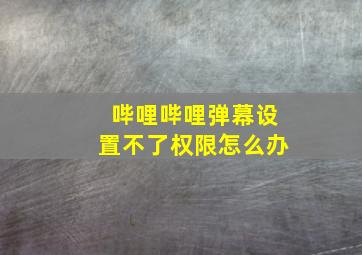 哔哩哔哩弹幕设置不了权限怎么办