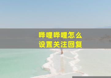 哔哩哔哩怎么设置关注回复