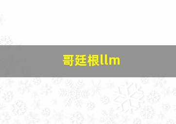 哥廷根llm