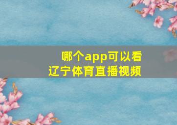 哪个app可以看辽宁体育直播视频