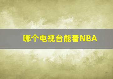 哪个电视台能看NBA