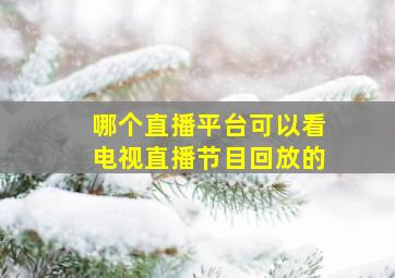 哪个直播平台可以看电视直播节目回放的