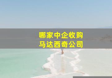 哪家中企收购马达西奇公司