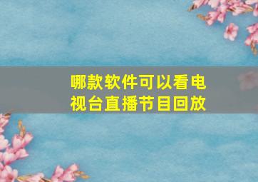 哪款软件可以看电视台直播节目回放