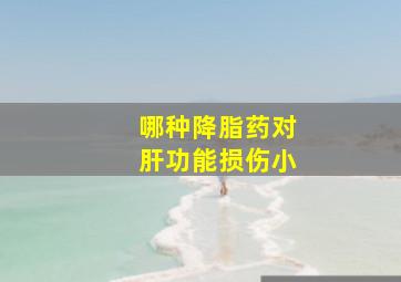 哪种降脂药对肝功能损伤小