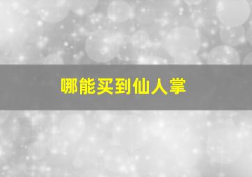 哪能买到仙人掌