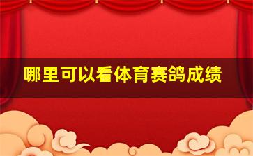 哪里可以看体育赛鸽成绩