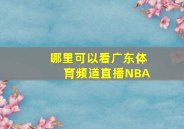 哪里可以看广东体育频道直播NBA