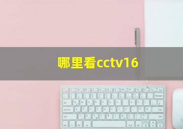 哪里看cctv16