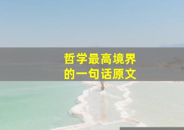 哲学最高境界的一句话原文