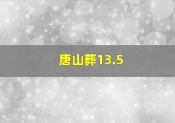 唐山葬13.5