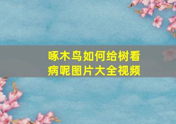 啄木鸟如何给树看病呢图片大全视频