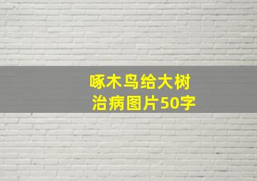 啄木鸟给大树治病图片50字