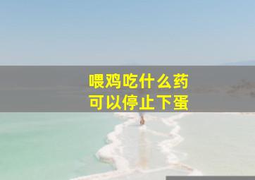 喂鸡吃什么药可以停止下蛋