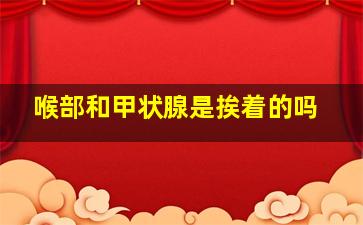 喉部和甲状腺是挨着的吗