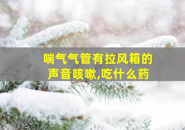 喘气气管有拉风箱的声音咳嗽,吃什么药