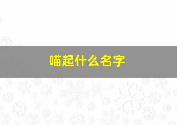 喵起什么名字