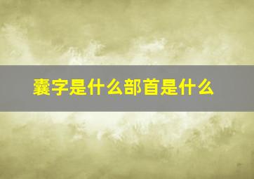 囊字是什么部首是什么