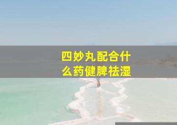 四妙丸配合什么药健脾祛湿