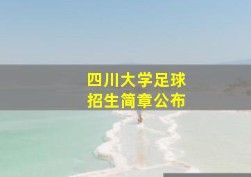 四川大学足球招生简章公布