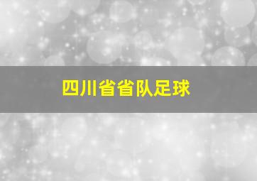 四川省省队足球