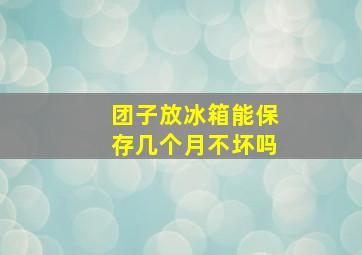 团子放冰箱能保存几个月不坏吗