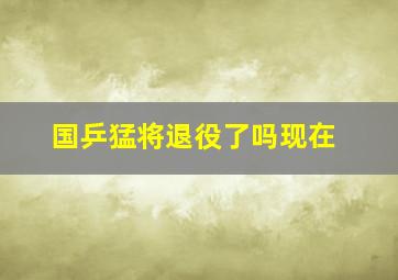 国乒猛将退役了吗现在