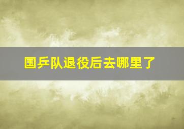 国乒队退役后去哪里了