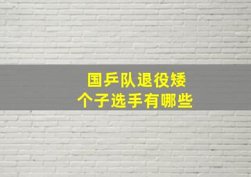 国乒队退役矮个子选手有哪些