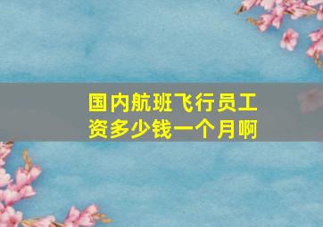 国内航班飞行员工资多少钱一个月啊