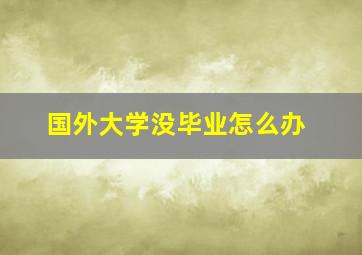 国外大学没毕业怎么办