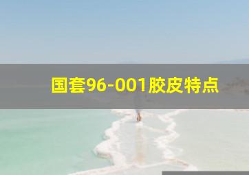 国套96-001胶皮特点