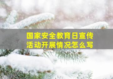 国家安全教育日宣传活动开展情况怎么写